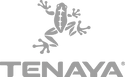 Tenaya logo